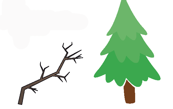 arbresbranches